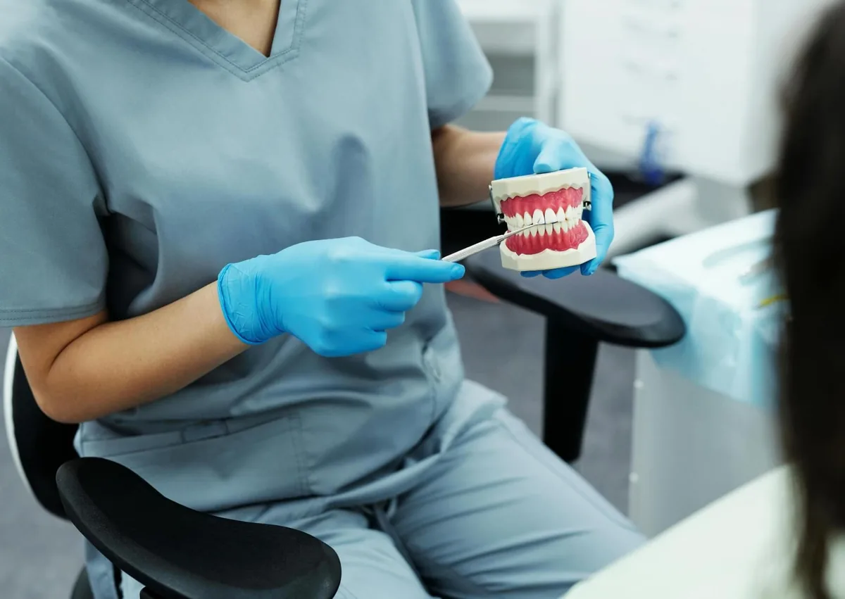 Dental professional using a teeth model to explain an open bite and possible orthodontic treatment.